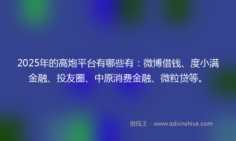 2025年的高炮平台有哪些有：微博借钱、度小满金融、投友圈、中原消费金融、微粒贷等。