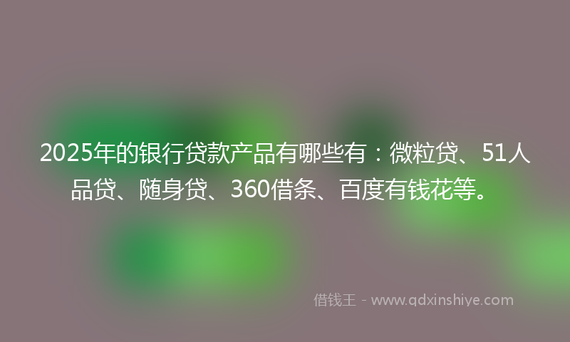 2025年的银行贷款产品有哪些有：微粒贷、51人品贷、随身贷、360借条、百度有钱花等。
