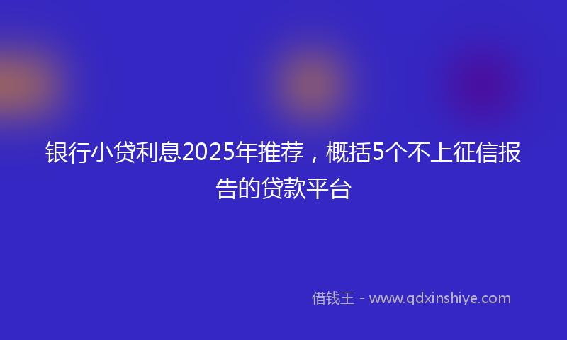 银行小贷利息2025年推荐，概括5个不上征信报告的贷款平台