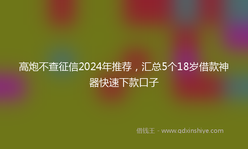 高炮不查征信2024年推荐，汇总5个18岁借款神器快速下款口子
