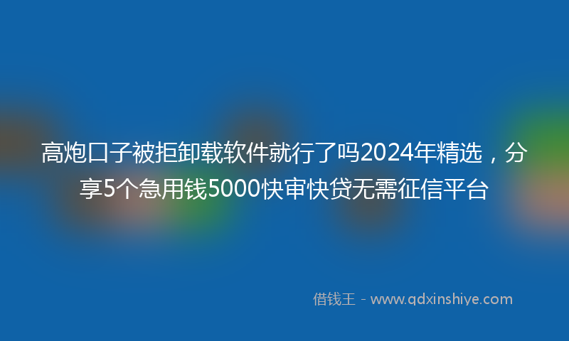 高炮口子被拒卸载软件就行了吗2024年精选，分享5个急用钱5000快审快贷无需征信平台