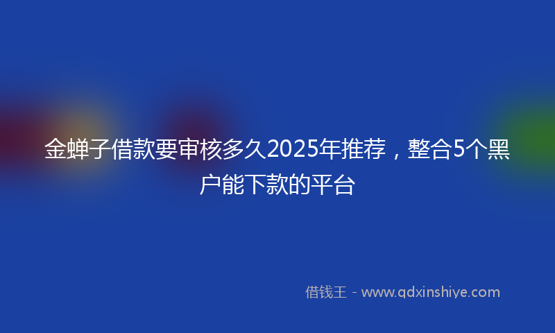 金蝉子借款要审核多久2025年推荐，整合5个黑户能下款的平台