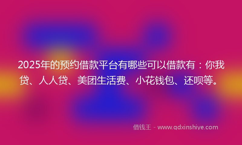 2025年的预约借款平台有哪些可以借款有：你我贷、人人贷、美团生活费、小花钱包、还呗等。