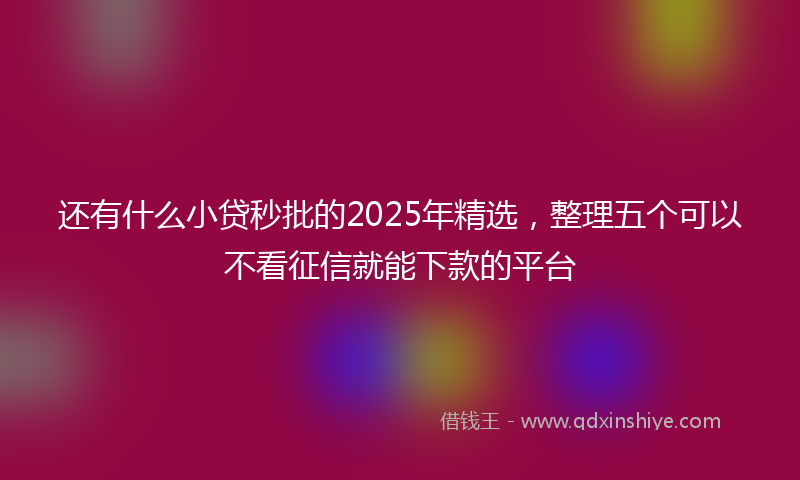 还有什么小贷秒批的2025年精选，整理五个可以不看征信就能下款的平台