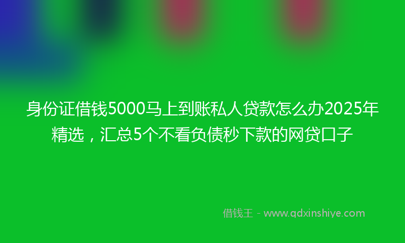 身份证借钱5000马上到账私人贷款怎么办2025年精选，汇总5个不看负债秒下款的网贷口子