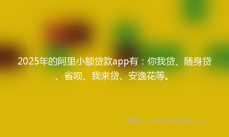 2025年的阿里小额贷款app有：你我贷、随身贷、省呗、我来贷、安逸花等。