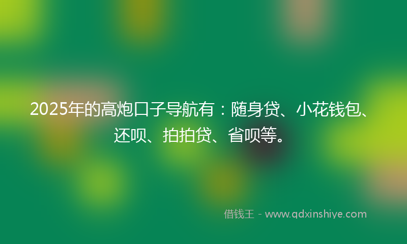 2025年的高炮口子导航有：随身贷、小花钱包、还呗、拍拍贷、省呗等。