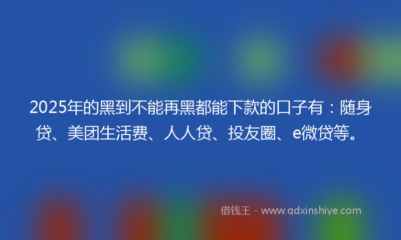 2025年的黑到不能再黑都能下款的口子有：随身贷、美团生活费、人人贷、投友圈、e微贷等。