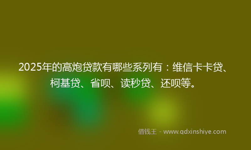 2025年的高炮贷款有哪些系列有：维信卡卡贷、柯基贷、省呗、读秒贷、还呗等。