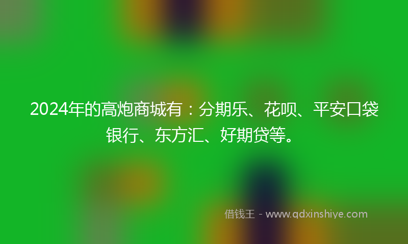 2024年的高炮商城有：分期乐、花呗、平安口袋银行、东方汇、好期贷等。