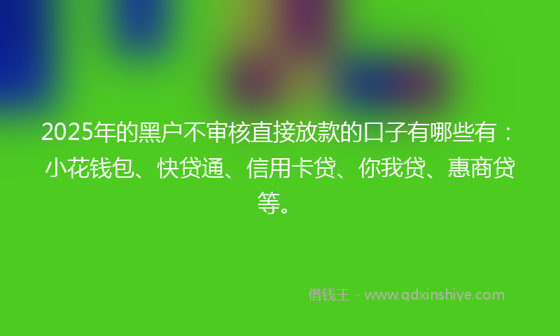 2025年的黑户不审核直接放款的口子有哪些有：小花钱包、快贷通、信用卡贷、你我贷、惠商贷等。
