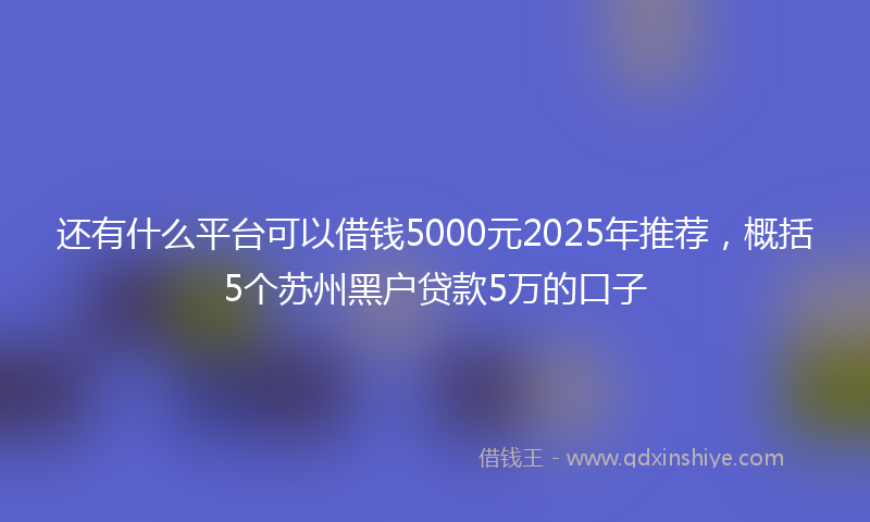 还有什么平台可以借钱5000元2025年推荐，概括5个苏州黑户贷款5万的口子