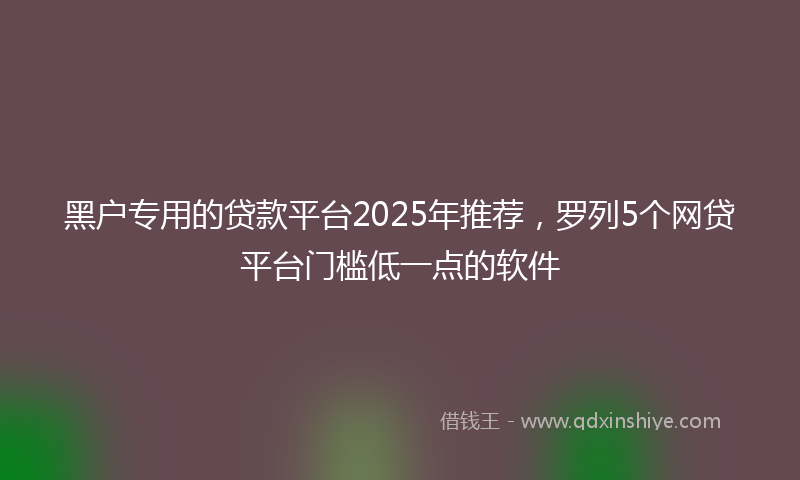 黑户专用的贷款平台2025年推荐，罗列5个网贷平台门槛低一点的软件