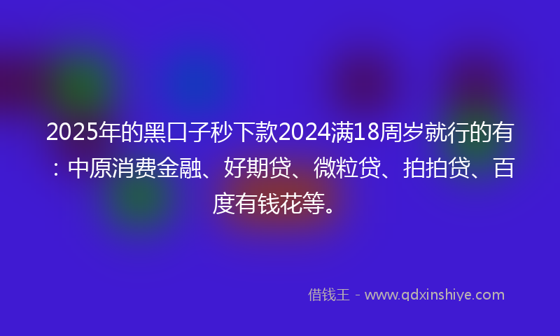 2025年的黑口子秒下款2024满18周岁就行的有：中原消费金融、好期贷、微粒贷、拍拍贷、百度有钱花等。
