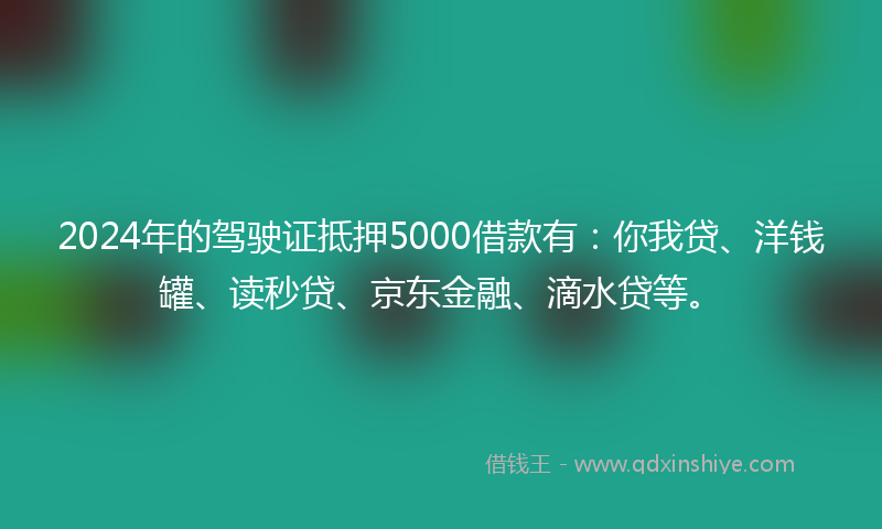 2024年的驾驶证抵押5000借款有：你我贷、洋钱罐、读秒贷、京东金融、滴水贷等。