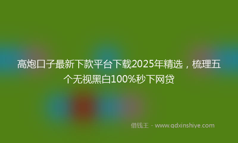 高炮口子最新下款平台下载2025年精选，梳理五个无视黑白100%秒下网贷