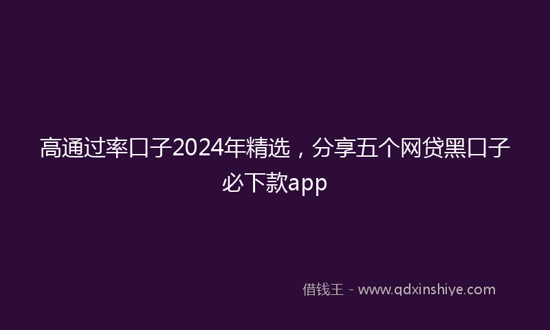 高通过率口子2024年精选，分享五个网贷黑口子必下款app