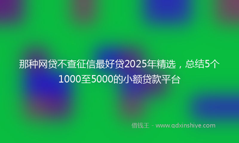 那种网贷不查征信最好贷2025年精选，总结5个1000至5000的小额贷款平台