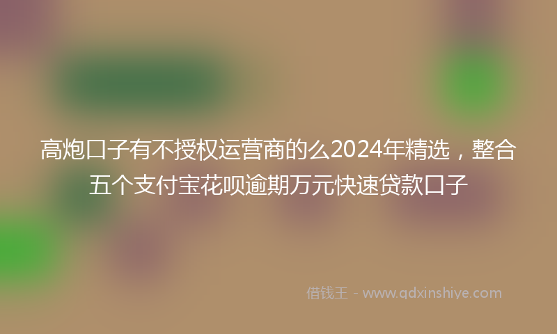 高炮口子有不授权运营商的么2024年精选，整合五个支付宝花呗逾期万元快速贷款口子