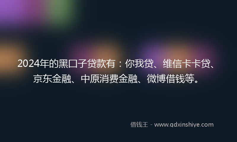 2024年的黑囗子贷款有：你我贷、维信卡卡贷、京东金融、中原消费金融、微博借钱等。