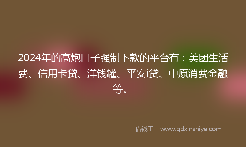 2024年的高炮口子强制下款的平台有：美团生活费、信用卡贷、洋钱罐、平安i贷、中原消费金融等。
