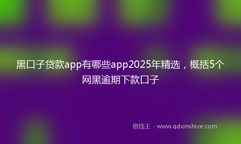 黑口子贷款app有哪些app2025年精选，概括5个网黑逾期下款口子