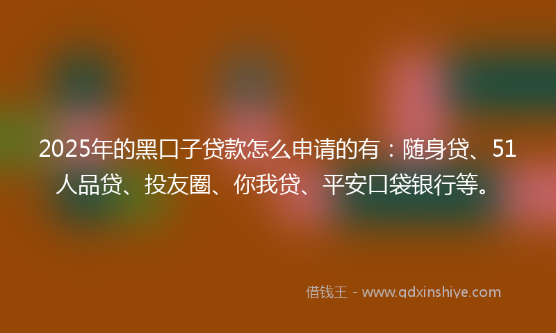 2025年的黑口子贷款怎么申请的有：随身贷、51人品贷、投友圈、你我贷、平安口袋银行等。