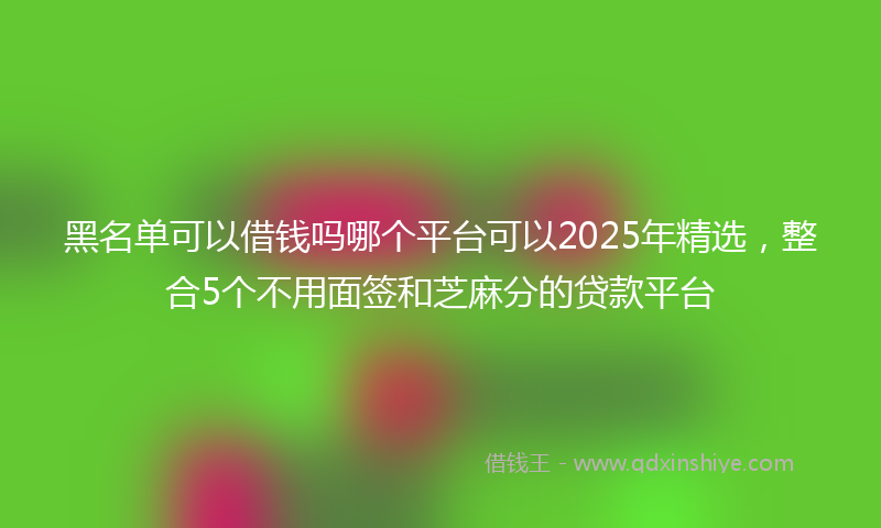 黑名单可以借钱吗哪个平台可以2025年精选，整合5个不用面签和芝麻分的贷款平台