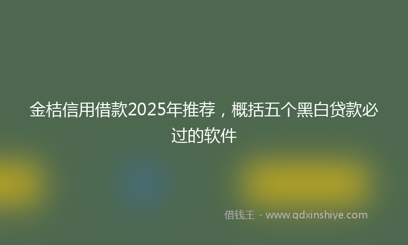 金桔信用借款2025年推荐，概括五个黑白贷款必过的软件