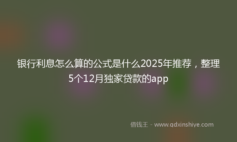银行利息怎么算的公式是什么2025年推荐，整理5个12月独家贷款的app