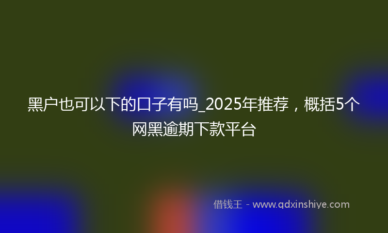 黑户也可以下的口子有吗_2025年推荐，概括5个网黑逾期下款平台