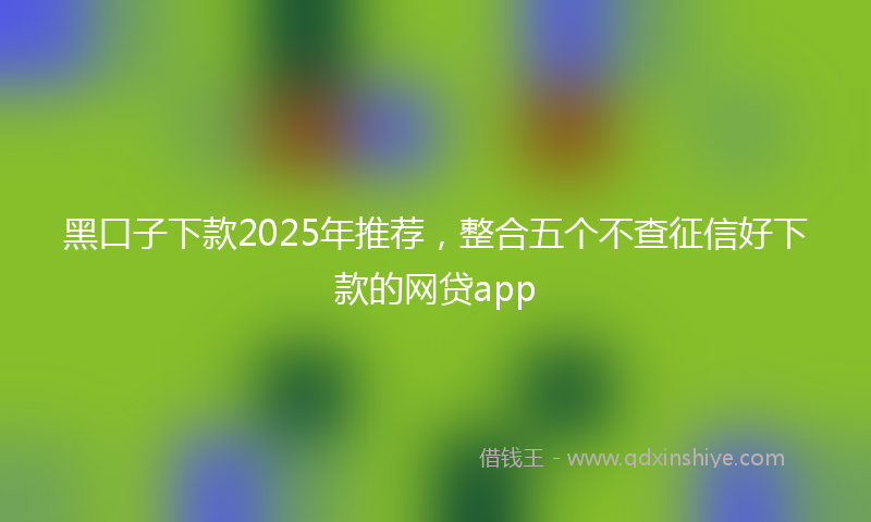 黑口子下款2025年推荐，整合五个不查征信好下款的网贷app
