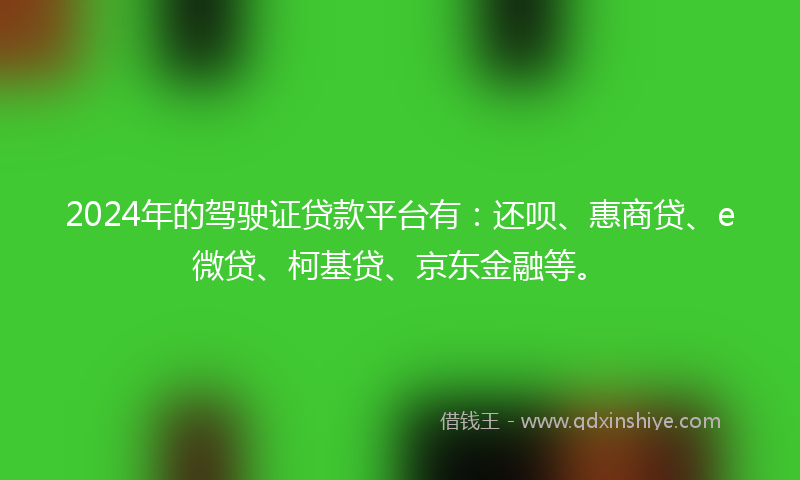 2024年的驾驶证贷款平台有：还呗、惠商贷、e微贷、柯基贷、京东金融等。