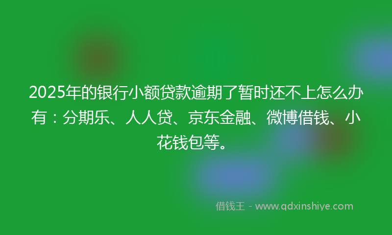 2025年的银行小额贷款逾期了暂时还不上怎么办有：分期乐、人人贷、京东金融、微博借钱、小花钱包等。