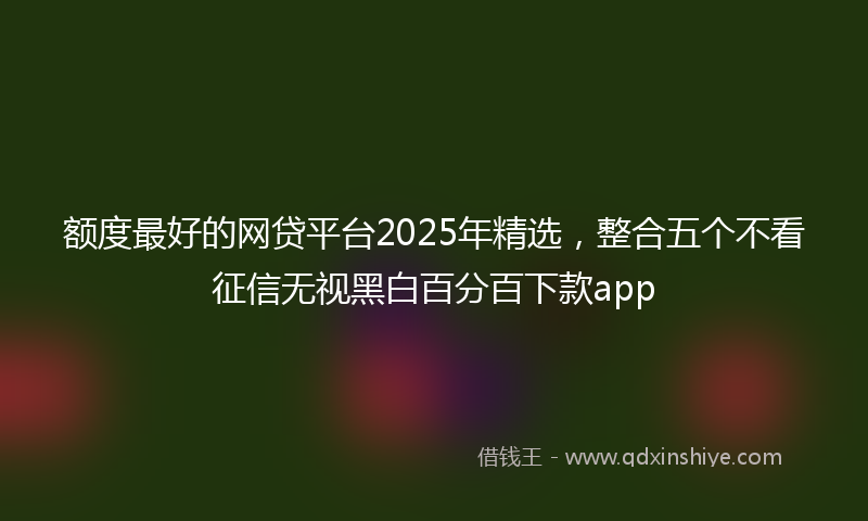 额度最好的网贷平台2025年精选，整合五个不看征信无视黑白百分百下款app