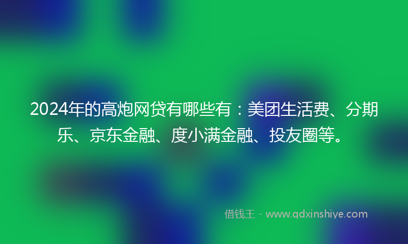 2024年的高炮网贷有哪些有：美团生活费、分期乐、京东金融、度小满金融、投友圈等。