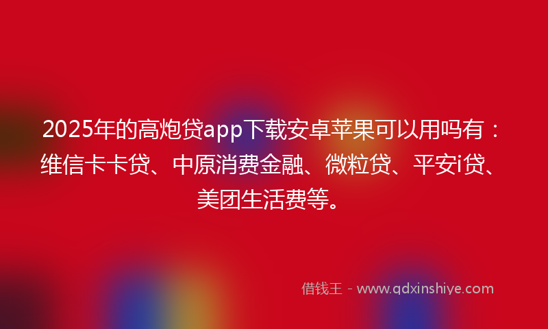 2025年的高炮贷app下载安卓苹果可以用吗有：维信卡卡贷、中原消费金融、微粒贷、平安i贷、美团生活费等。