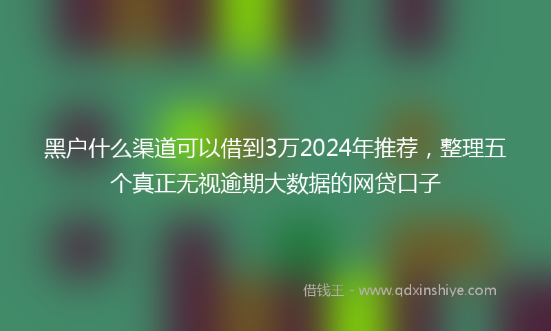 黑户什么渠道可以借到3万2024年推荐，整理五个真正无视逾期大数据的网贷口子