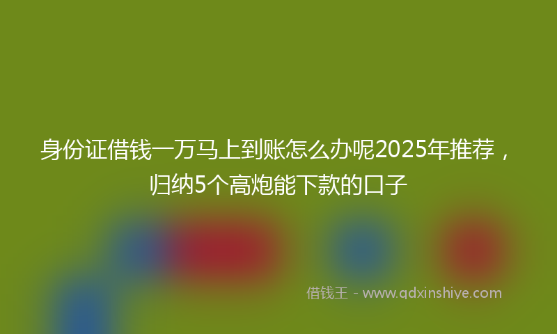 身份证借钱一万马上到账怎么办呢2025年推荐，归纳5个高炮能下款的口子