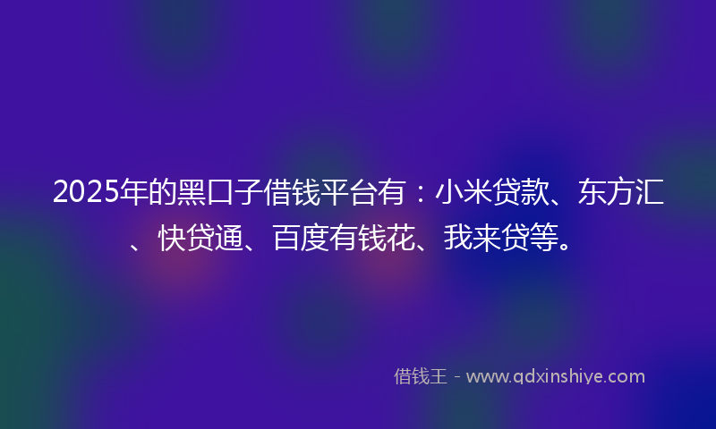 2025年的黑口子借钱平台有：小米贷款、东方汇、快贷通、百度有钱花、我来贷等。
