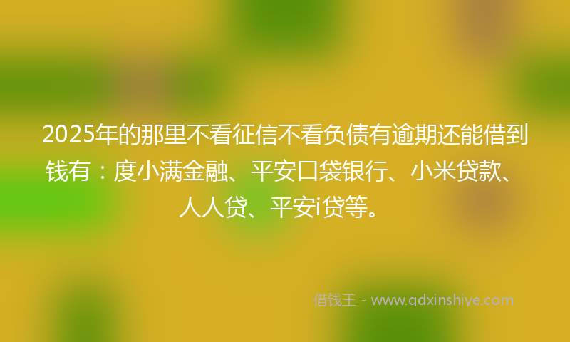 2025年的那里不看征信不看负债有逾期还能借到钱有：度小满金融、平安口袋银行、小米贷款、人人贷、平安i贷等。