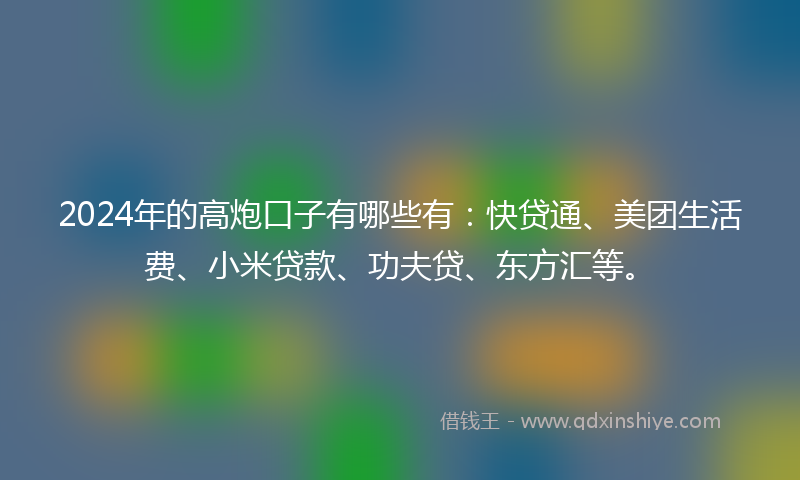 2024年的高炮口子有哪些有：快贷通、美团生活费、小米贷款、功夫贷、东方汇等。