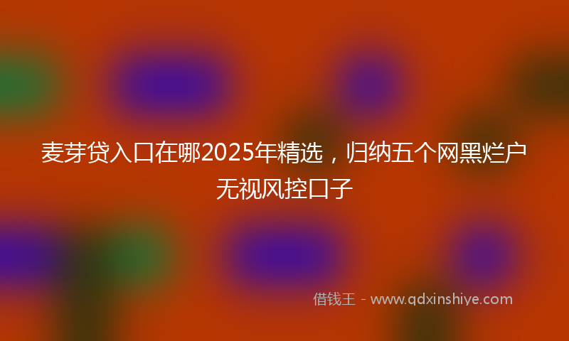 麦芽贷入口在哪2025年精选，归纳五个网黑烂户无视风控口子