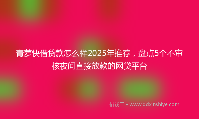 青萝快借贷款怎么样2025年推荐，盘点5个不审核夜间直接放款的网贷平台