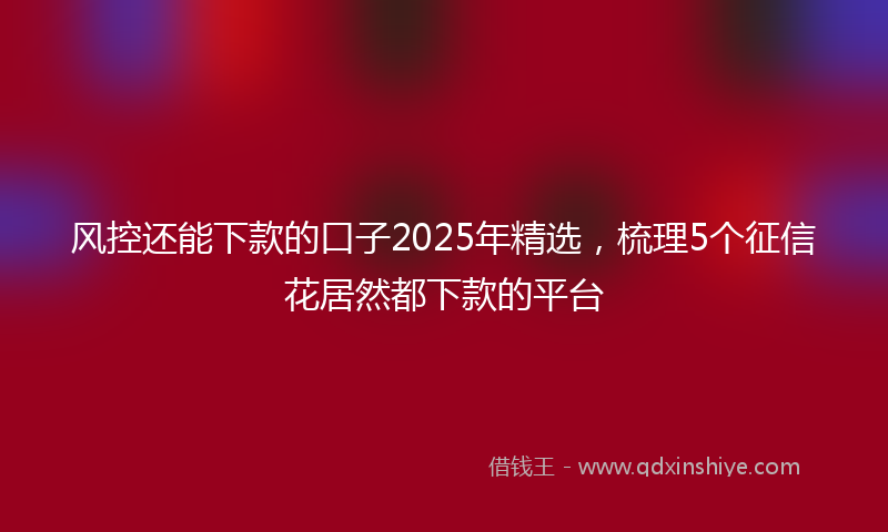 风控还能下款的口子2025年精选，梳理5个征信花居然都下款的平台