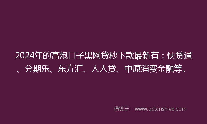 2024年的高炮口子黑网贷秒下款最新有：快贷通、分期乐、东方汇、人人贷、中原消费金融等。