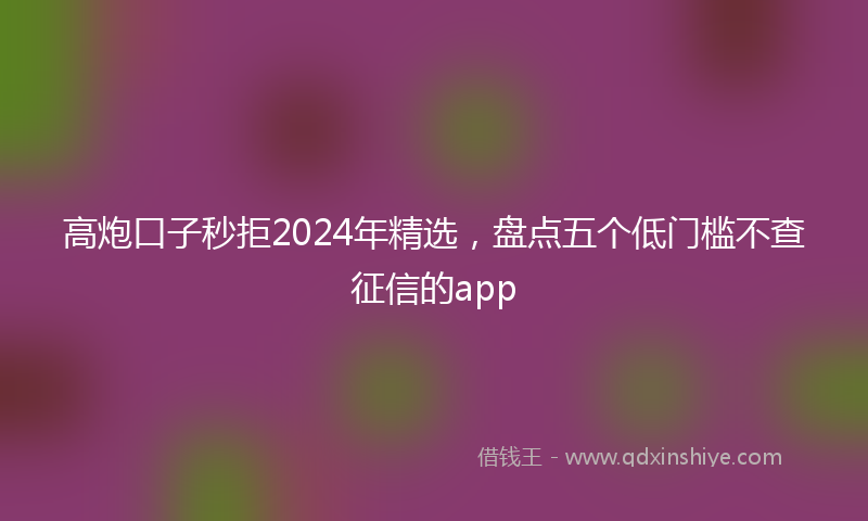 高炮口子秒拒2024年精选，盘点五个低门槛不查征信的app
