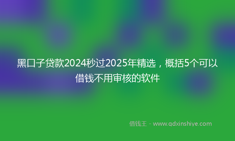 黑口子贷款2024秒过2025年精选，概括5个可以借钱不用审核的软件