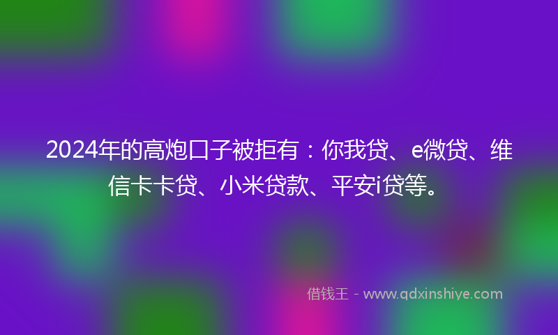 2024年的高炮口子被拒有：你我贷、e微贷、维信卡卡贷、小米贷款、平安i贷等。