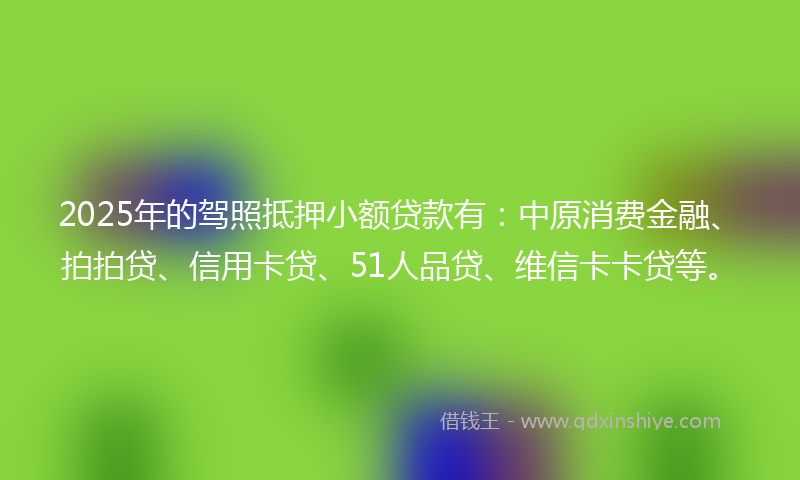 2025年的驾照抵押小额贷款有：中原消费金融、拍拍贷、信用卡贷、51人品贷、维信卡卡贷等。